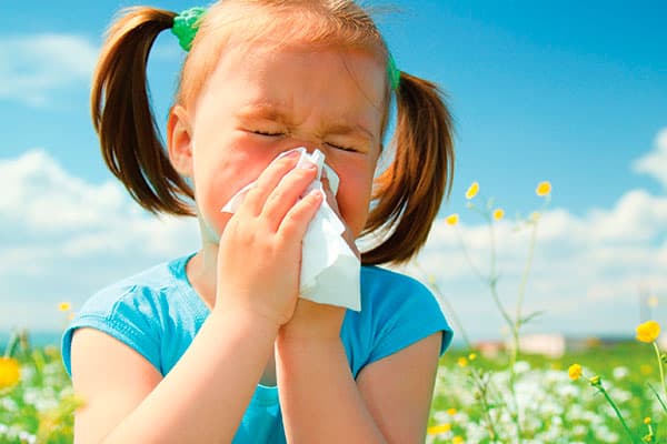 Аллергия у детей на животных