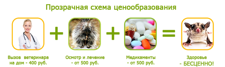 Ветврач ветеринар вызов на дом герпетолог. Лечение экзотических животных. Ветеринар экзотических животных. Можно ли вызвать ветеринара на дом. Вызов ветеринара на дом фото.